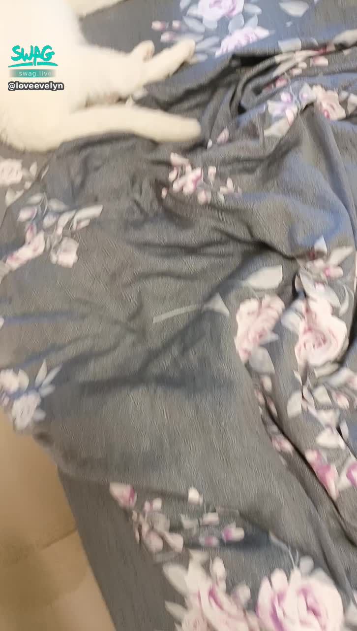 loveevelyn : 你看我的臭妮😺🤣🤣🤣
伊伊壞壞，這時候就想亂她一下🤭😏😏

→ 鑽石女神就是我！通關密語一週限用一次，
快點私訊我問通關密語 🤫