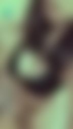 h*******y : 其實我最近忙到變瘦了(看的出來嗎🤔