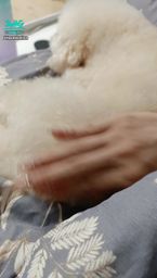 loveevelyn : 你看~~~拍拍屁股,就翻過來了喲😍😍😍