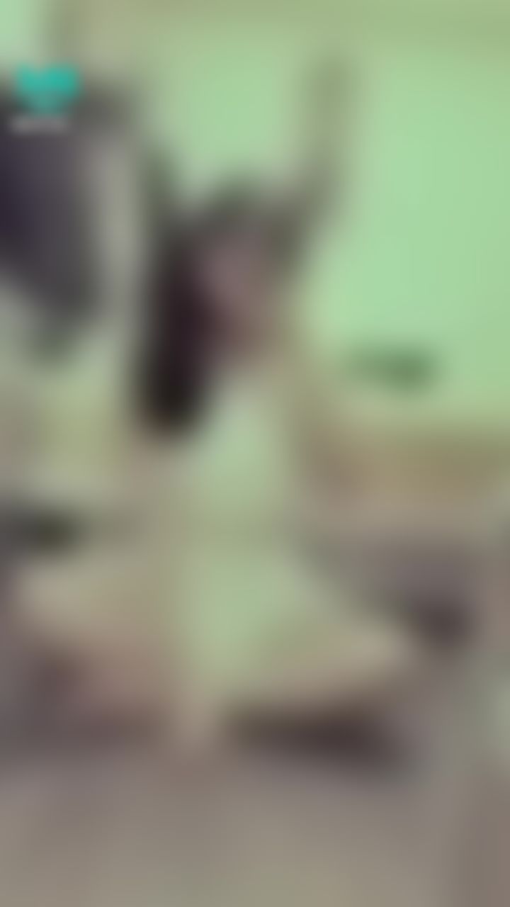 janicee : 白色短裙盤腿坐♥️
雨不停的聲音💦💦💦💦
露出腰的裝扮🎀摸摸腳💋
清純純色系小女僕💓
your maid⭐
#長髮 #黑髮 #長腿 #美腿 #赤腳 #裸足 #美足 #短裙 #sexy #短裙 #氣質 #襯衫 #可愛 #露腰
