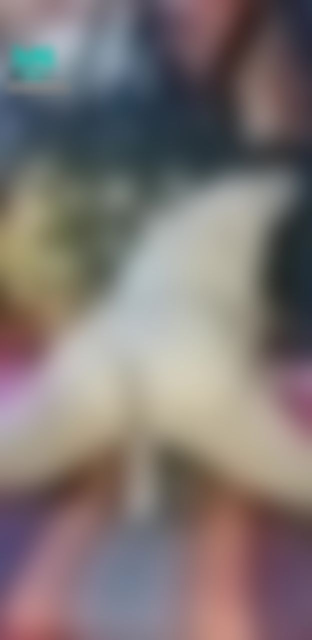 dirtymommy : rate my ass while riding your dick 🍑🍆
