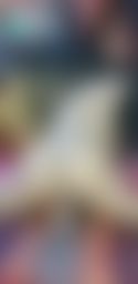 dirtymommy : rate my ass while riding your dick 🍑🍆