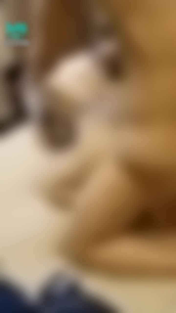 wanobaby : 🔞娃諾實戰篇🔞狠操猛幹大屁股🔥🔥插爆本土小母狗淫聲超大超刺激🔇🔇