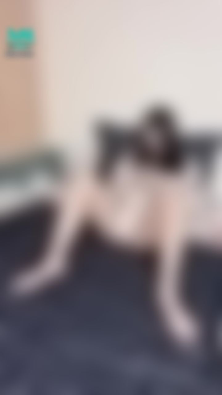 ling_yue : 嗯啊自慰好舒服，哥哥，想要了～
#自慰
#揉奶
#揉胸