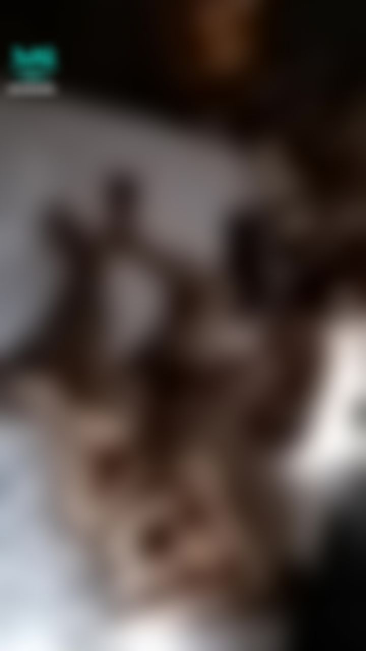 miababe : 喝醉了变群交party🤯 猜猜有多少个人在里面🎉🎉（2）