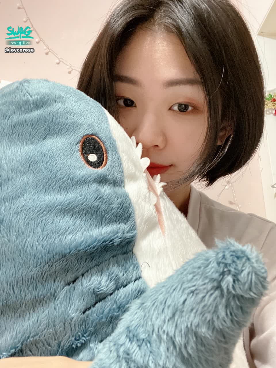 joycerose : 💜快閃福利小活動💜
你們最愛的換影片活動來啦🎉
只要私訊以下"每一位"寶貝說「我是914派來的」
💫截圖會傳給我即可獲得私藏小影片唷💫
@ccsusu 
@sweetalva