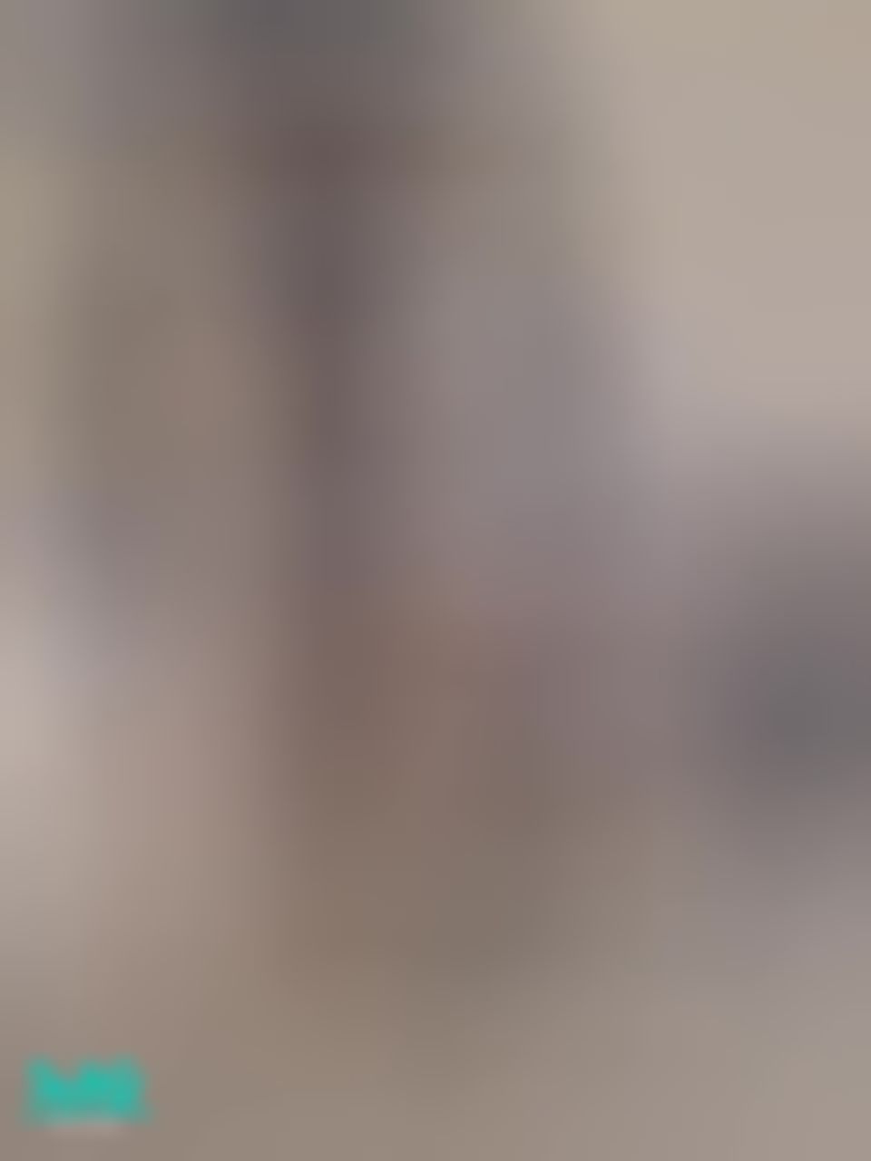 wanobaby : 哥哥🥺 我好想養 喵～～～🐈