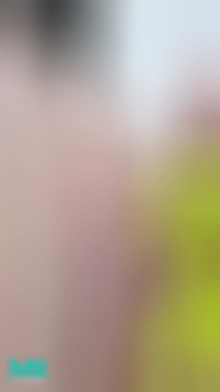 xiangxiangbabe : 玩具玩小白虎