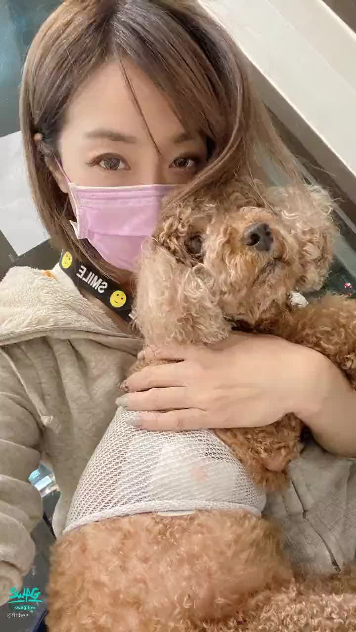 fifibee : 帶小可憐去處理傷口，清創傷口
看得我都快哭了😢
醫生都稱讚小可憐超級乖的
很認命的感覺😂