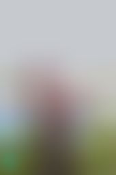 wanobaby : 光暈透過髮絲的唯美💋