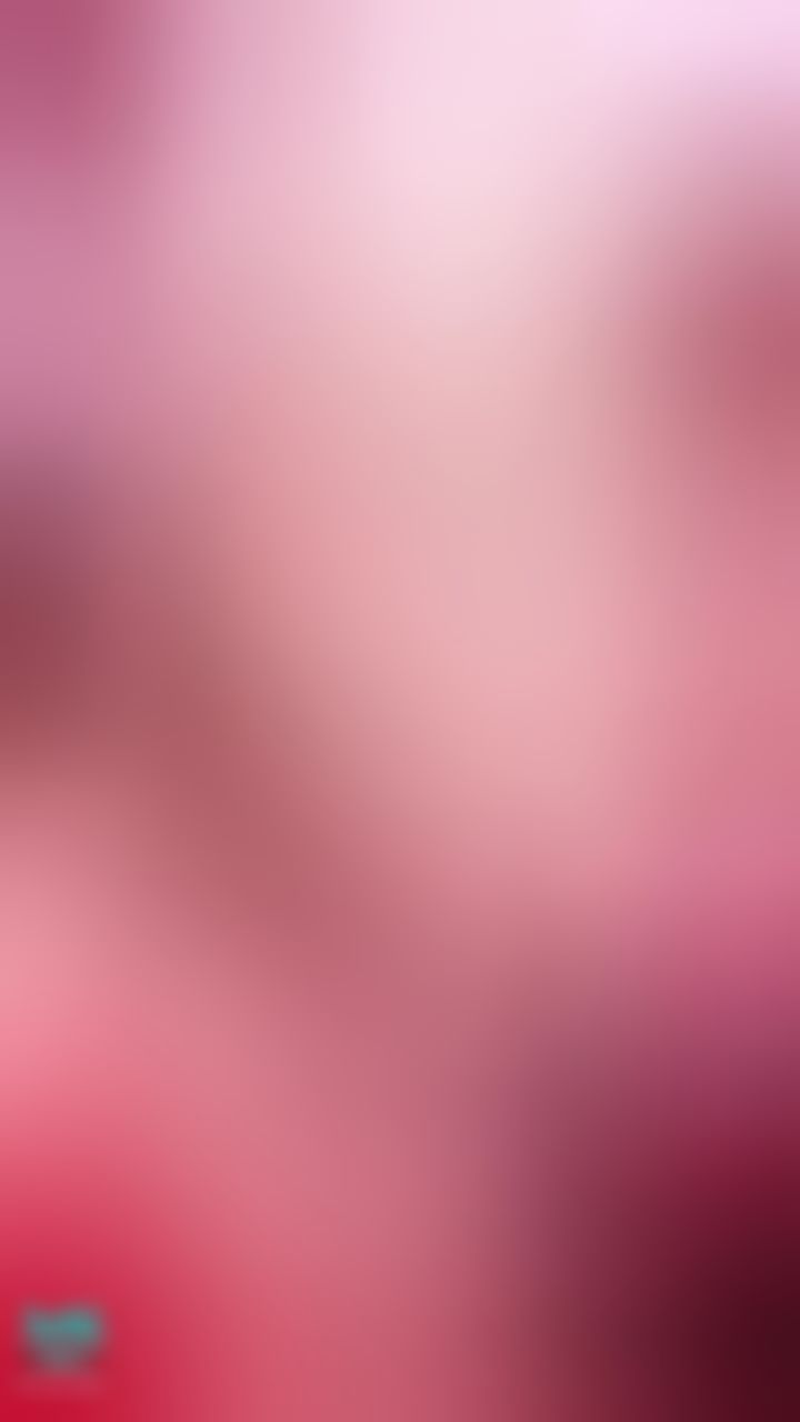 sweetkatty : My pink pussy close 🔥🔥🔥🔥 #hot #pussy #sexy