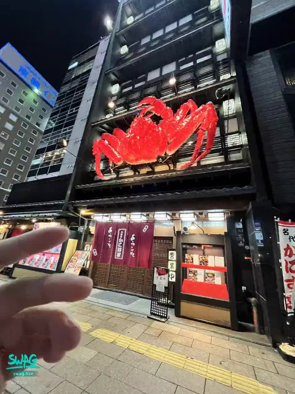 yidhra : ❌螃蟹將軍🦀️

#日常 #生活 #旅行