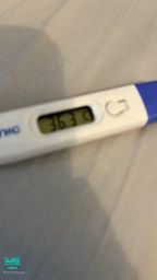 nanalittlepupy : 終於這幾天不在當個一肚子壞水的女孩子了
啊啊啊Babe 哥哥人家都瘦了🥲🥲🥲
要秀秀啦