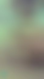 janicee : 搖搖屁股💚這篇不解可惜😈
自拍鏡頭的近距離視角😍
丁字褲卡在兩股之間的性感模樣💋
黑蕾絲誘人的透膚感♥️
高衩與美背飽覽無遺👀
每次發動態都會得到男生熱烈迴響的火辣泳衣😈
Sexy black lace💓
🌹🌹🌹
2023跨年活動,私訊我「新年快樂」,就可以得到兩部高衩泳衣M字腿的影片
🌹🌹🌹
#sexy #swimsuit #泳衣 #高衩 #蕾絲 #三角 #細肩帶 #深V #低胸 #美腿 #鎖骨 #赤腳 #裸足 #乳溝 #美臀 #長髮 #美臀 #水著 #屁股