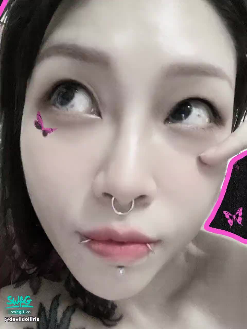 devildolliris : 🐷🐷🐷🐷