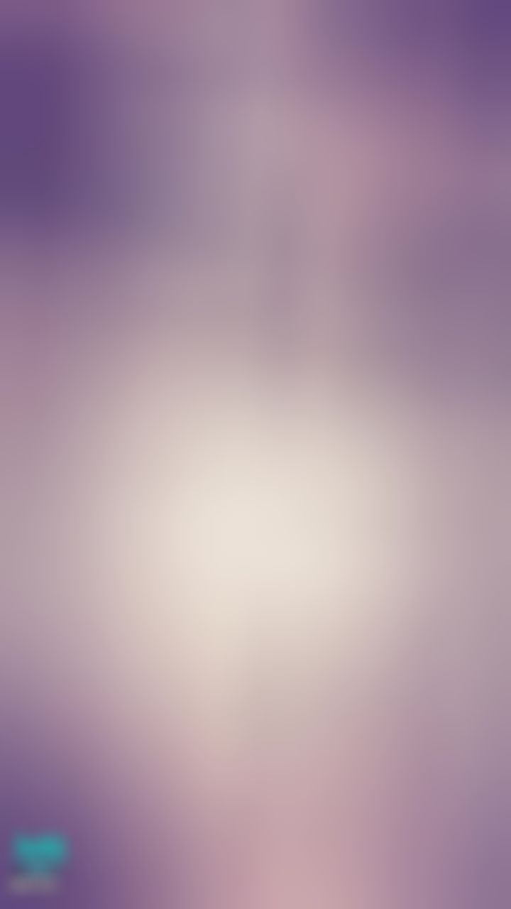 janicee : 性感黑蕾絲