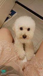 : Where are you looking, brat?