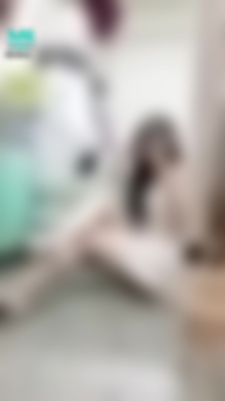  : 露下乳的小可愛