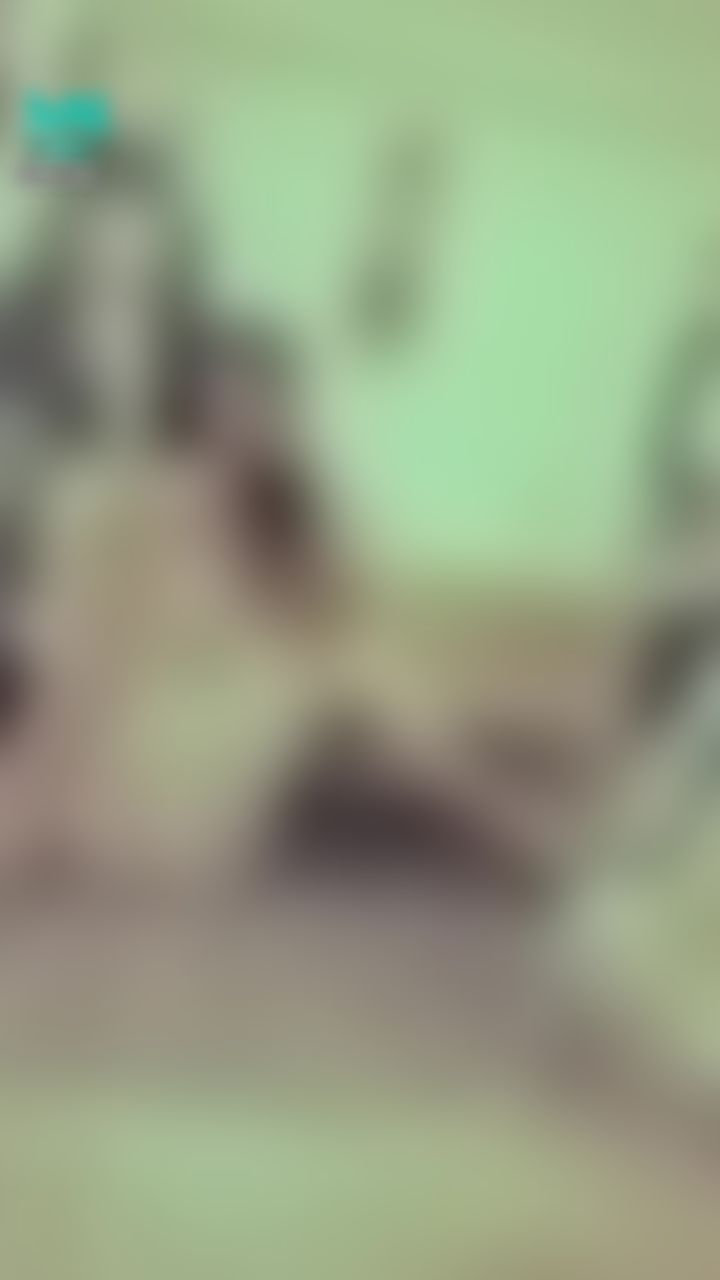 janicee : 美腿曲線💋