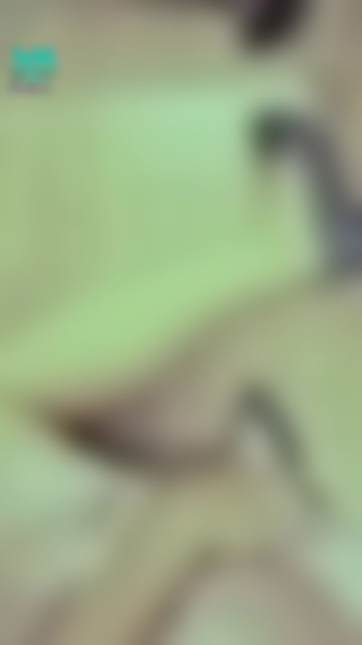  : 露出性感美背