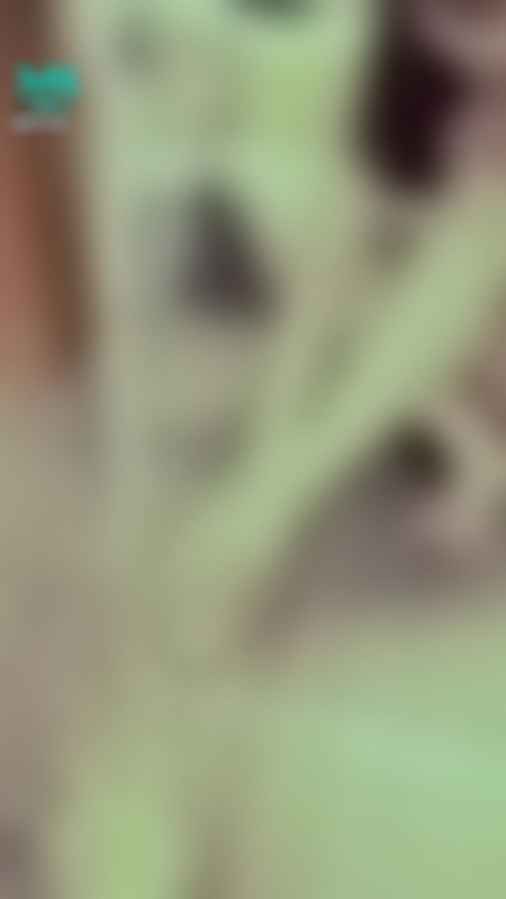 janicee : 美腿與南半球⭐