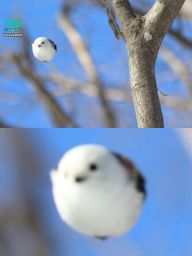 : Flying Daifuku!