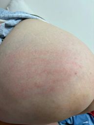 kitty_20240408 : #臀#翹屁股