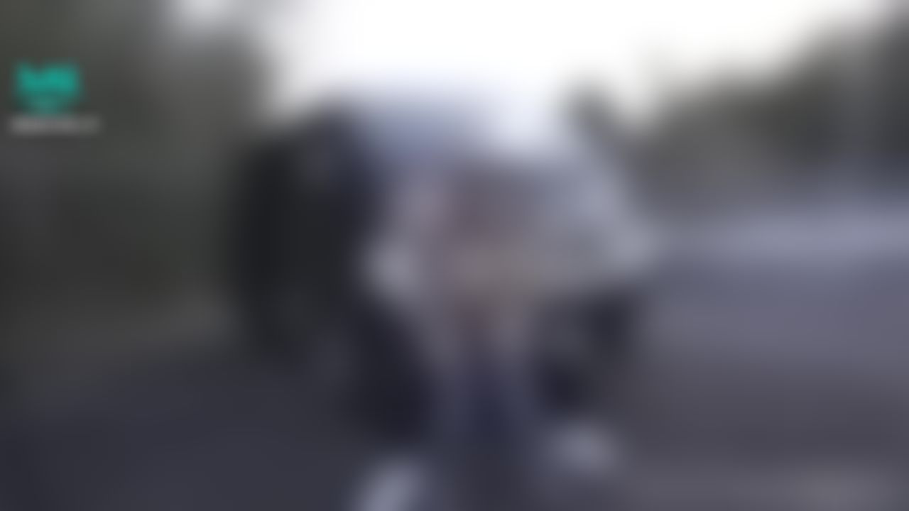 japanese_real_amateur : 