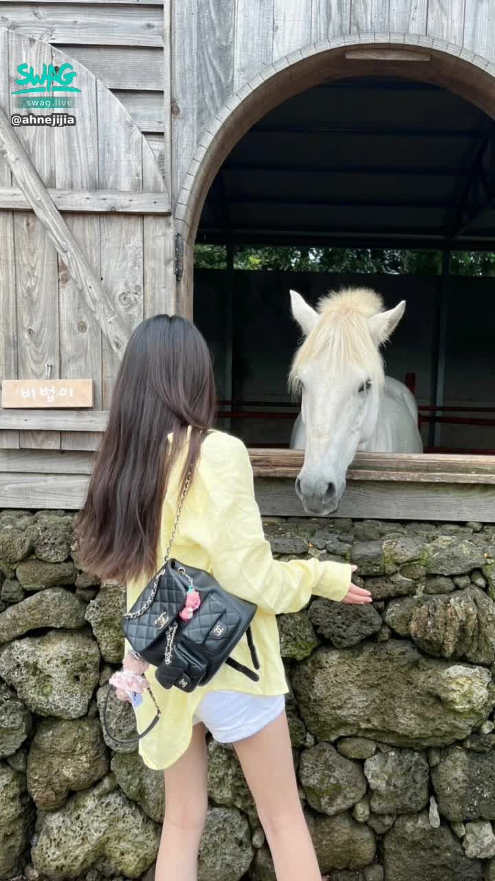 ahnejijia : 🦄