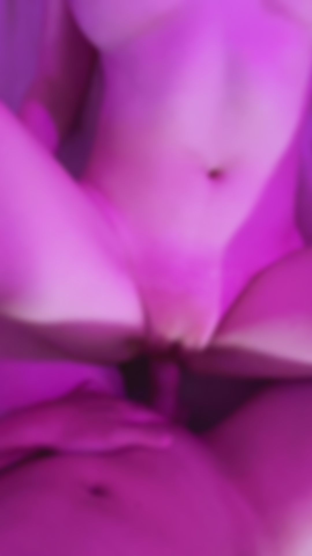 qqq_qq77 : 第一視角小K內射🥵