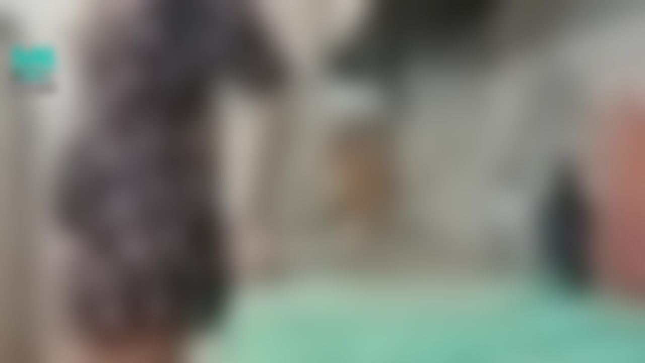 lilybarby : shorts1