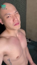 whitetiger_yl :