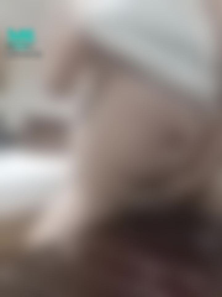 silvermaam : Just feeling lonely today
