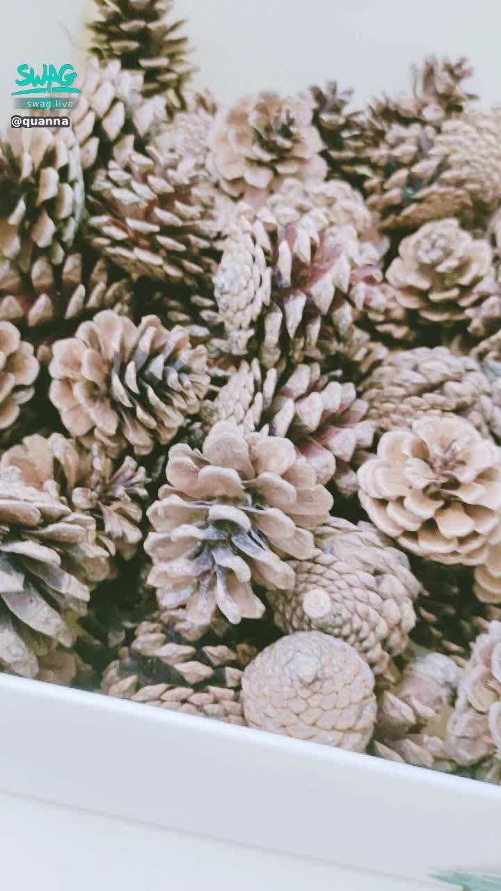 quanna : 聖誕節應景