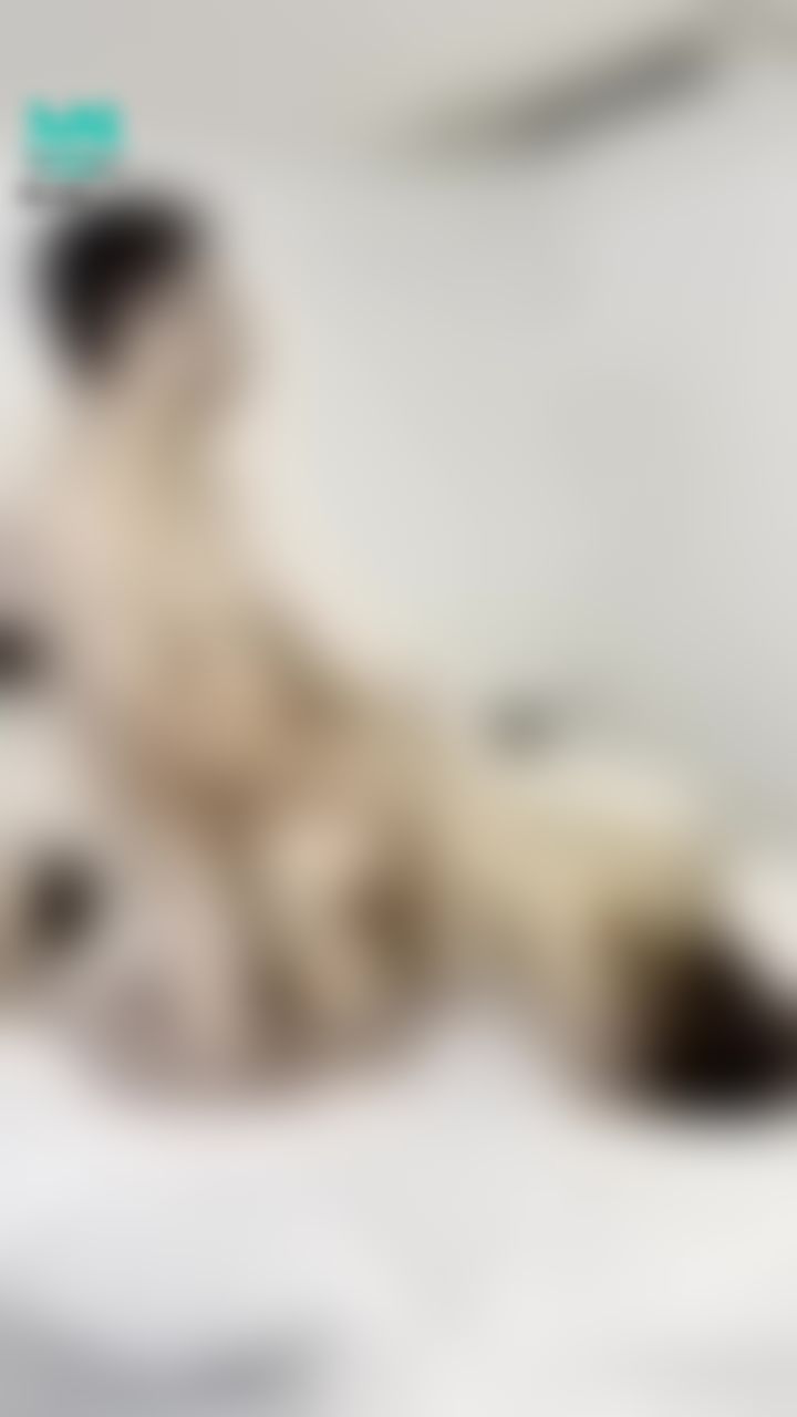 syc.3 : 第一次跟巨乳學妹做愛...
沒想到就讓他高潮了