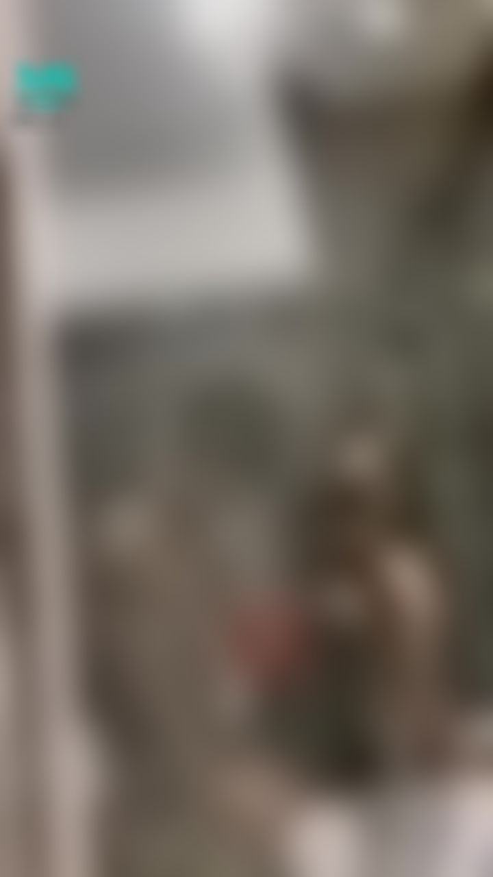 chees_ : 