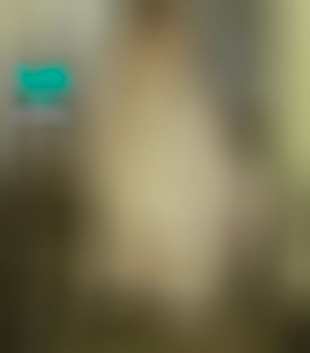  : 