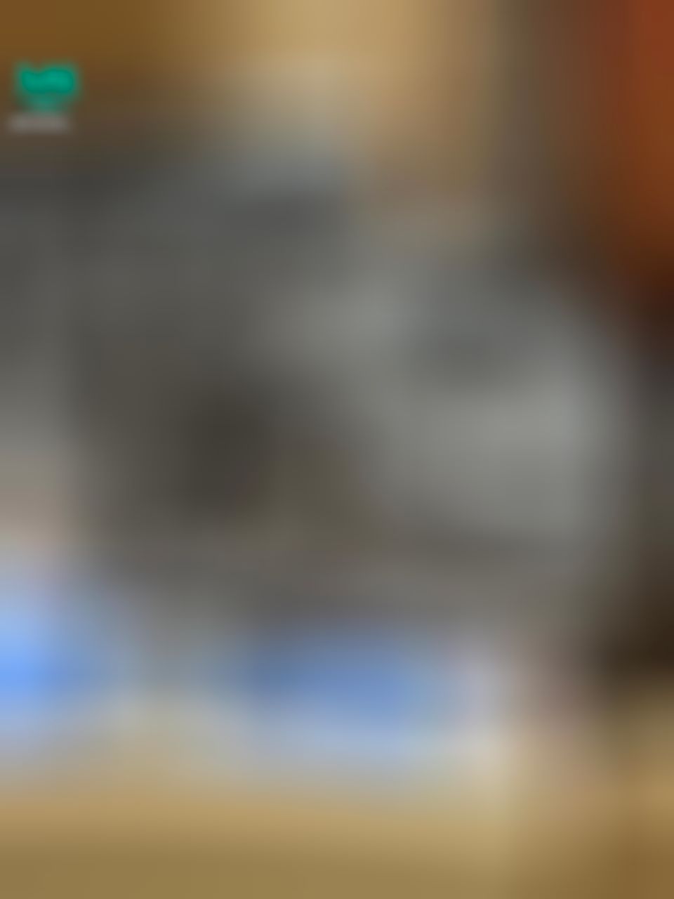 renana_ : 有人說 現在沒有貓是一種劣勢
好險我有🫶🏻我可