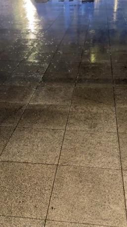 sexylyla : 一出健身房就下大雨☔️
是要我濕身嗎？？？