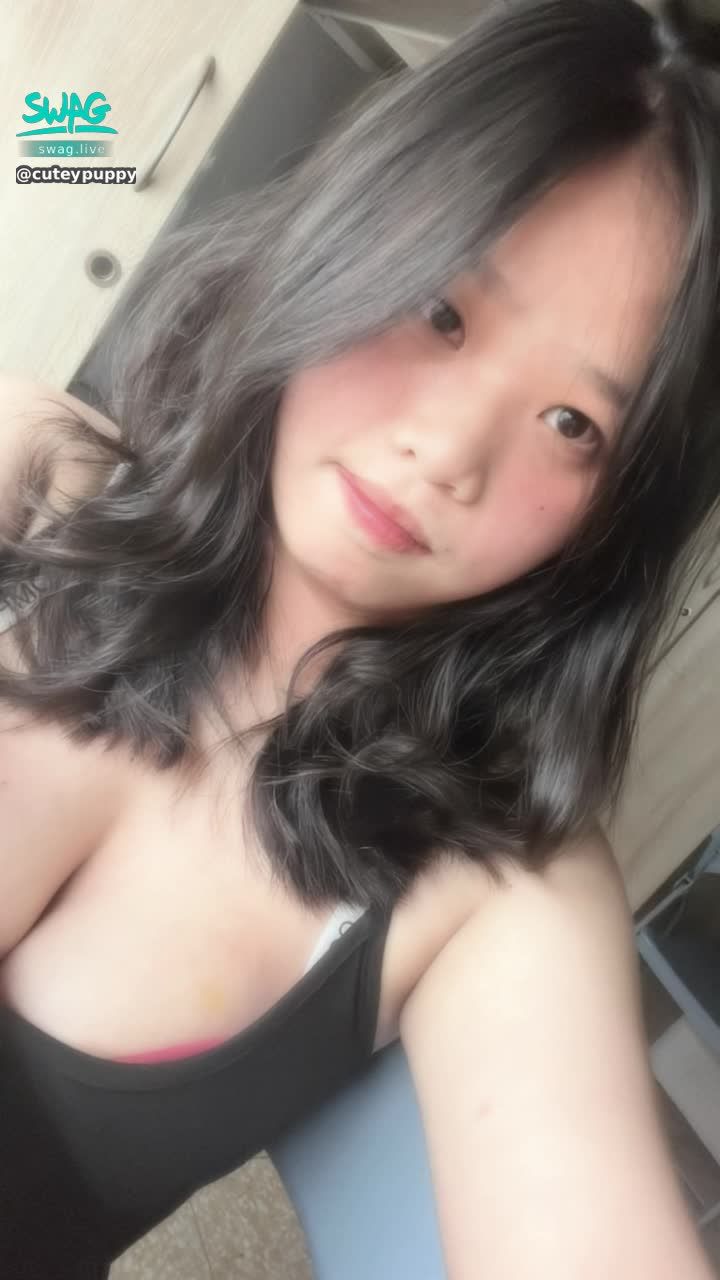 cuteypuppy : 喝醉酒的浪貓貓