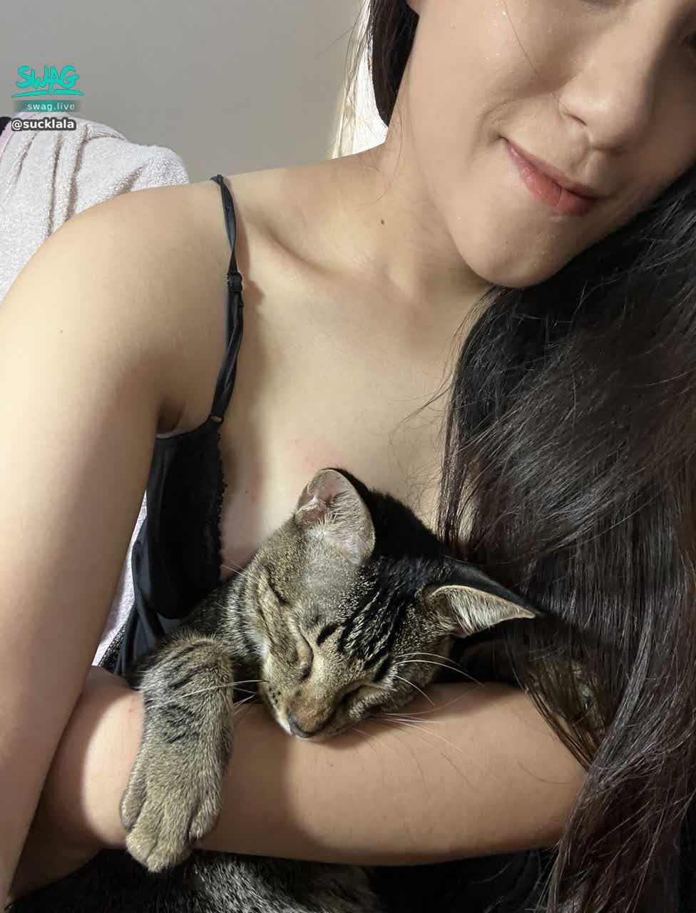sucklala : 貓咪療癒時間🐱