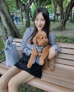 miaa0601 : 狗狗真可愛 帶著小狗到戶外跑來跑去！