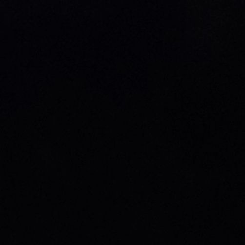 nyra's livestream snapshot